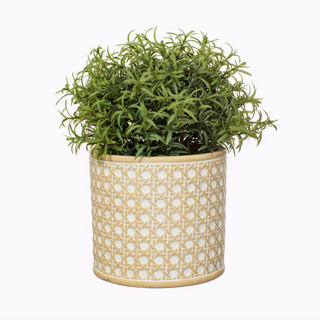 CONCRETE ROTAN PLANTER