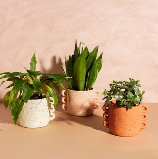 TRIPLE HANDLE PLANTER - PEACH