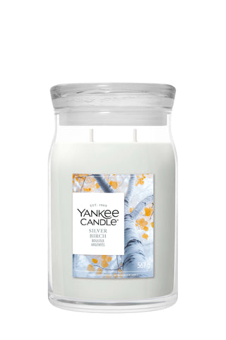 Yankee Candle - Silver Birch Large Jar